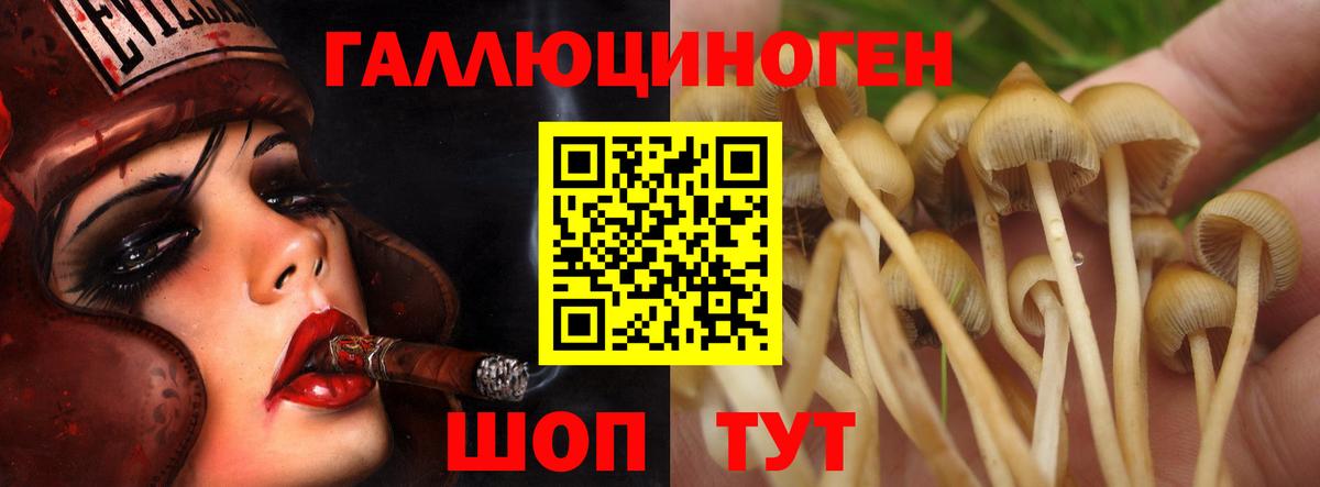 Галлюциногенные грибы MAGIC MUSHROOMS Череповец